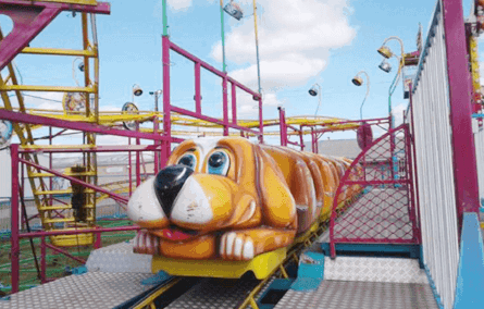 Whacky Dog Roller Coaster